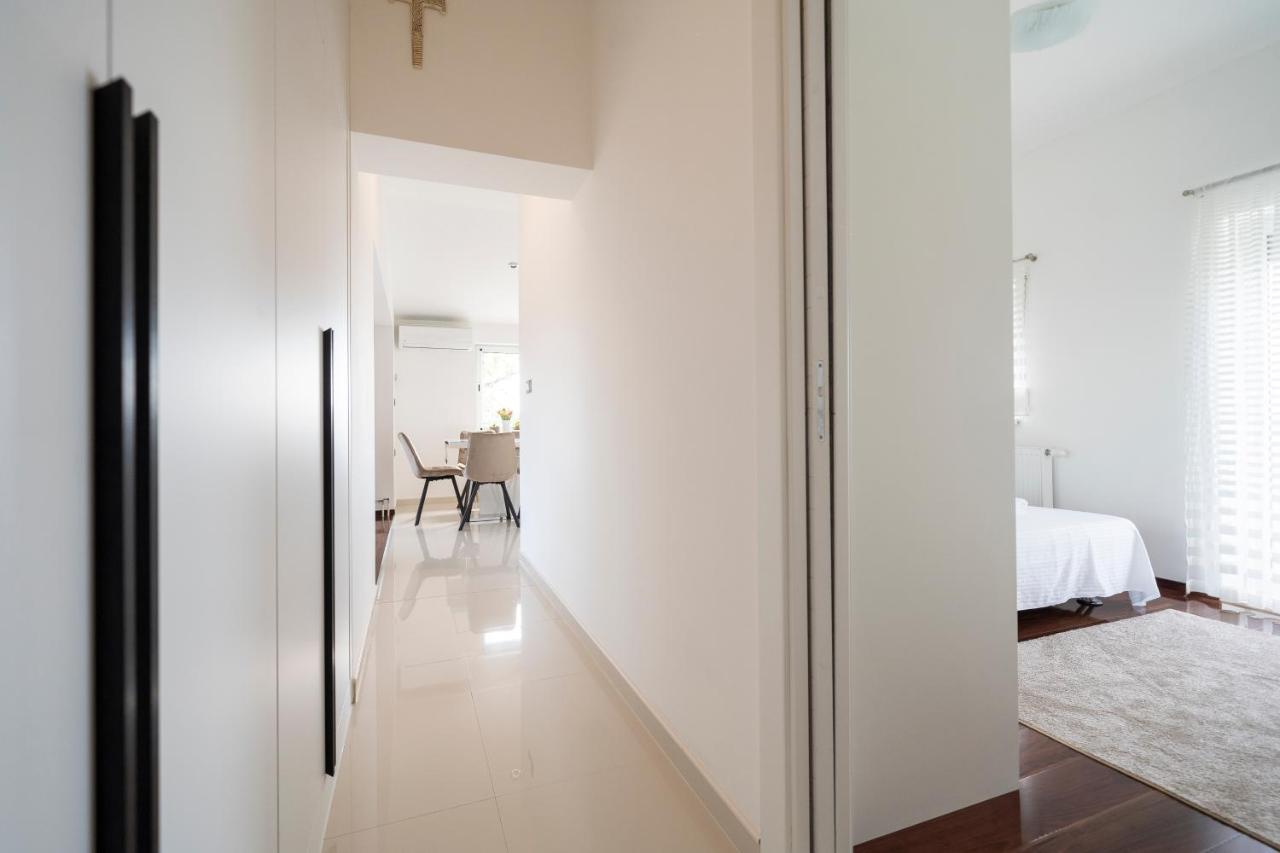 Apartment Absolute Gray Zadar Dış mekan fotoğraf